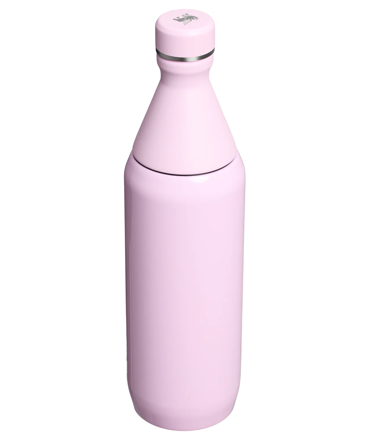 Garrafa Térmica Slim Bottle Cherry Blossom | 591ml